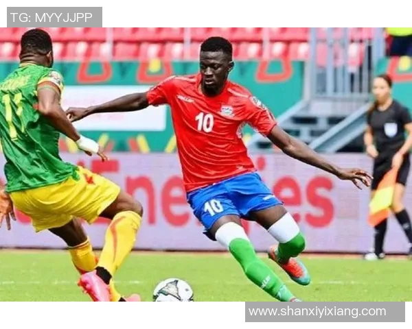 喀麦隆足球明星的辉煌历程与传奇故事探秘